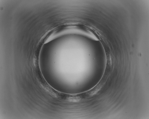 X0000080160556200612081338