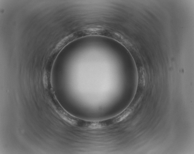 X0000080160562200612081338