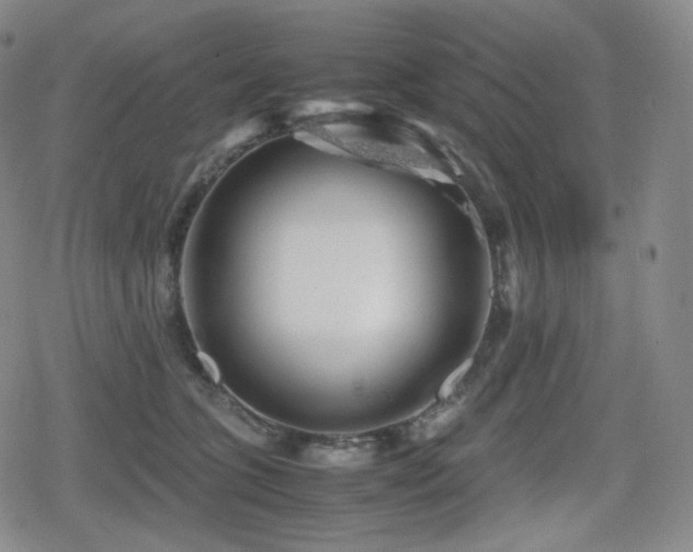 X0000080160563200612081338