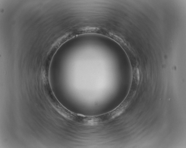 X0000080160564200612081338
