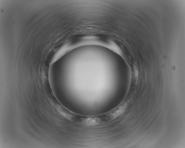 X0000080160566200612081338