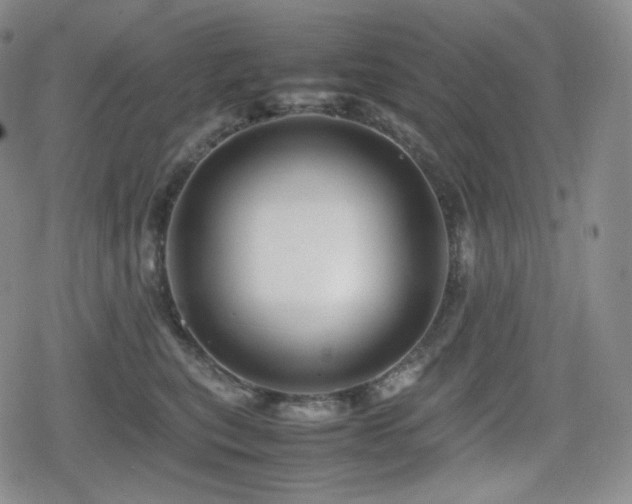 X0000080160567200612081338