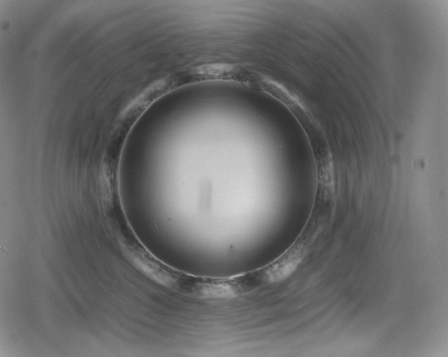 X0000080160572200612081338