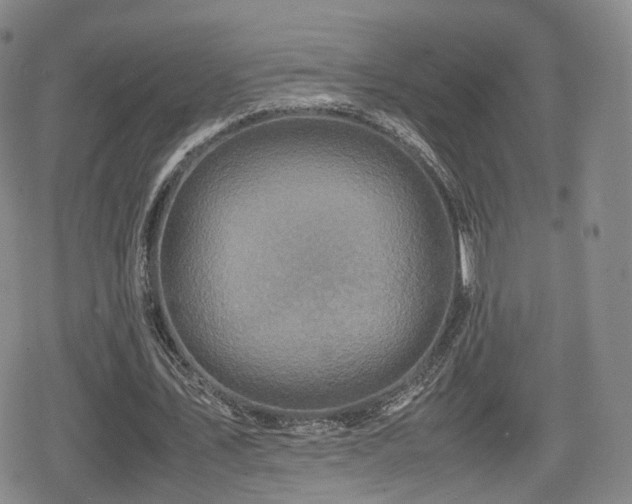 X0000080160579200612081337