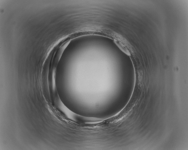 X0000080160580200612081337
