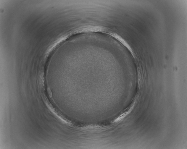 X0000080160581200612081337