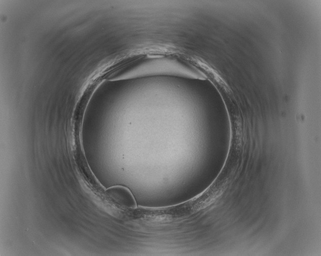 X0000080160582200612081337