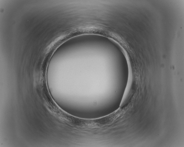 X0000080160583200612081337