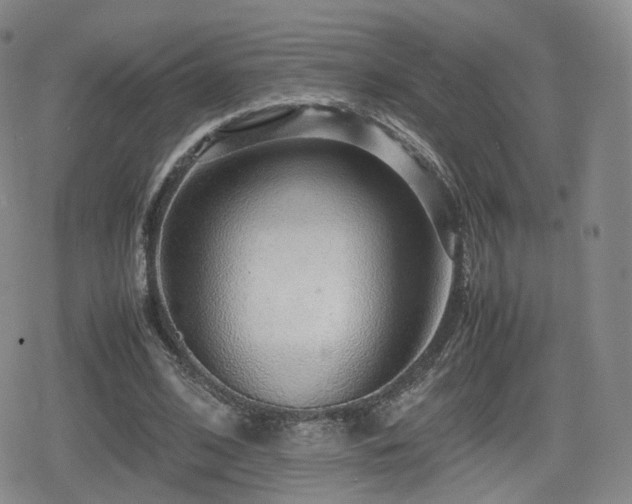 X0000080160584200612081337