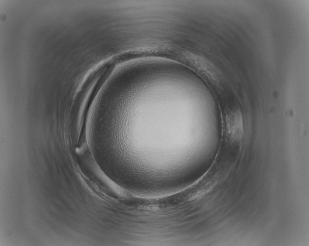 X0000080160588200612081337