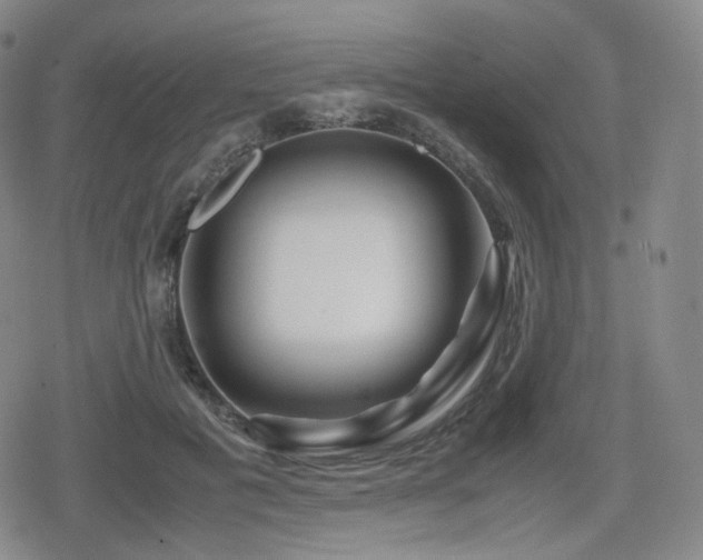 X0000080160601200612081337