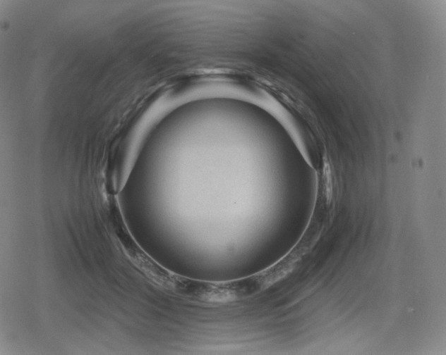 X0000080160604200612081337