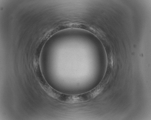 X0000080160607200612081337