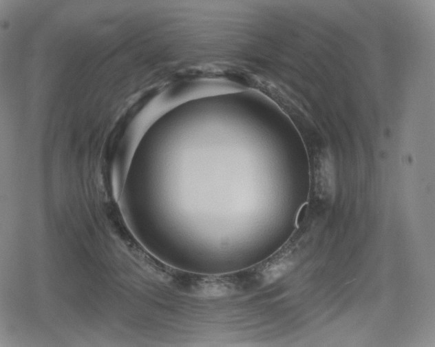 X0000080160608200612081337