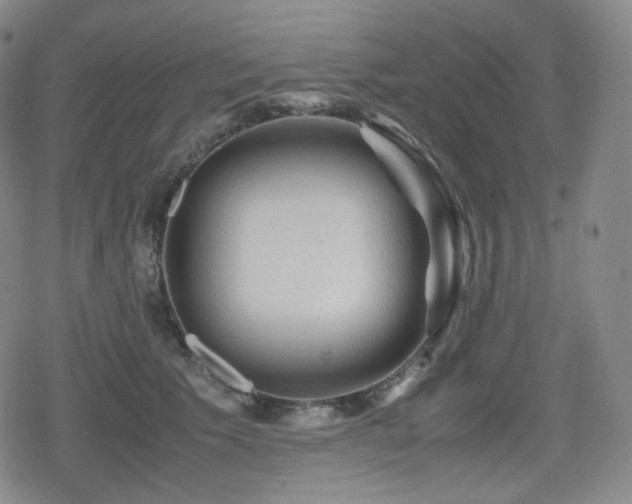X0000080160609200612081337