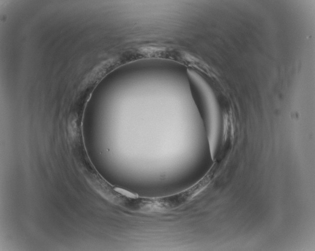 X0000080160611200612081337