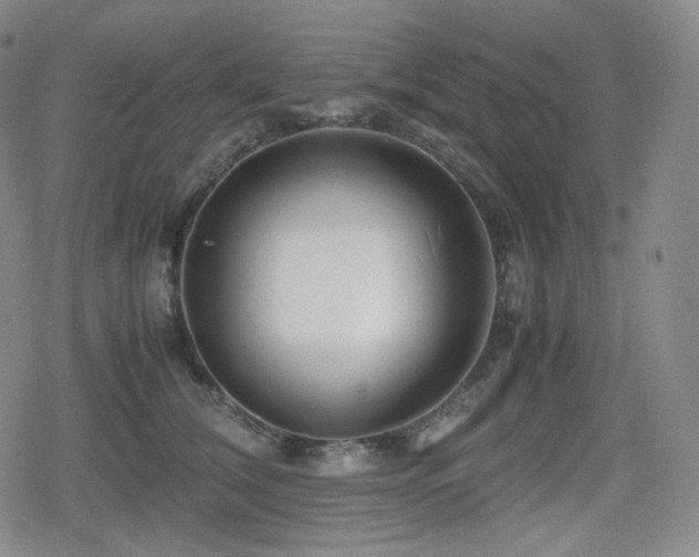 X0000080160612200612081337