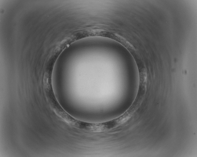 X0000080160615200612081337