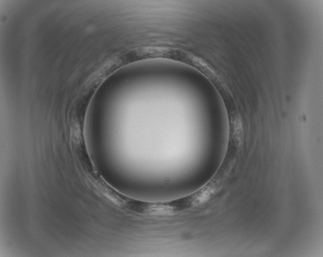 X0000080160617200612081337