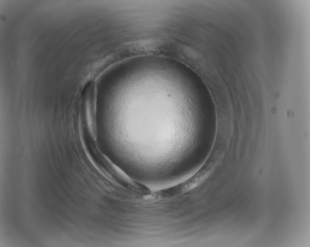 X0000080160624200612081337