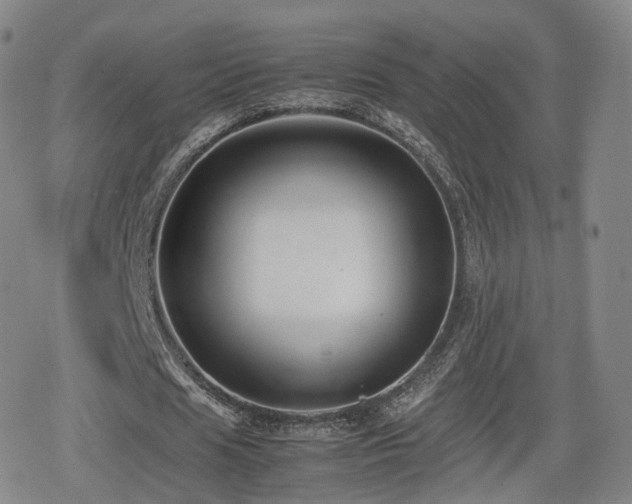 X0000080160625200612081336