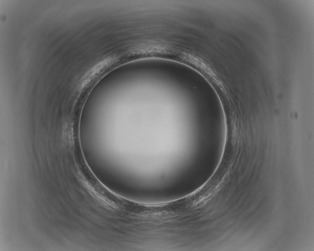 X0000080160629200612081336
