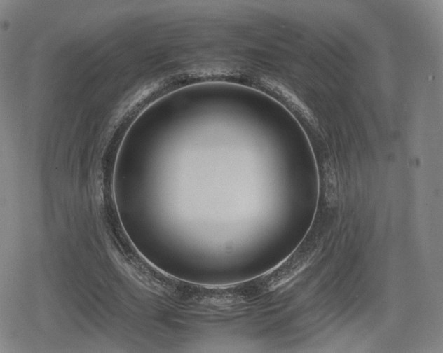 X0000080160631200612081336