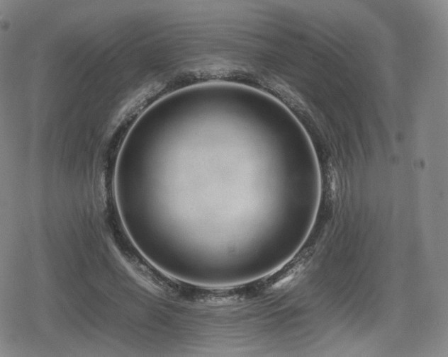 X0000080160638200612081336