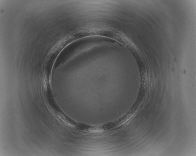 X0000080160644200612081336