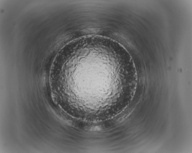 X0000080160647200612081336