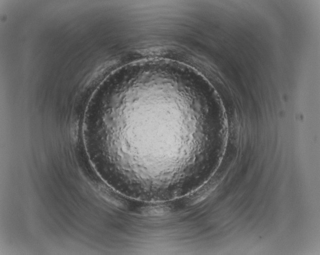 X0000080160652200612081336