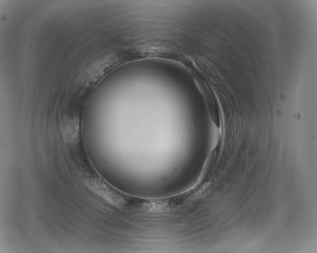 X0000080160660200612081336