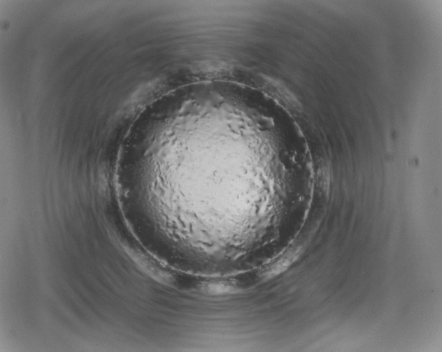 X0000080160662200612081337