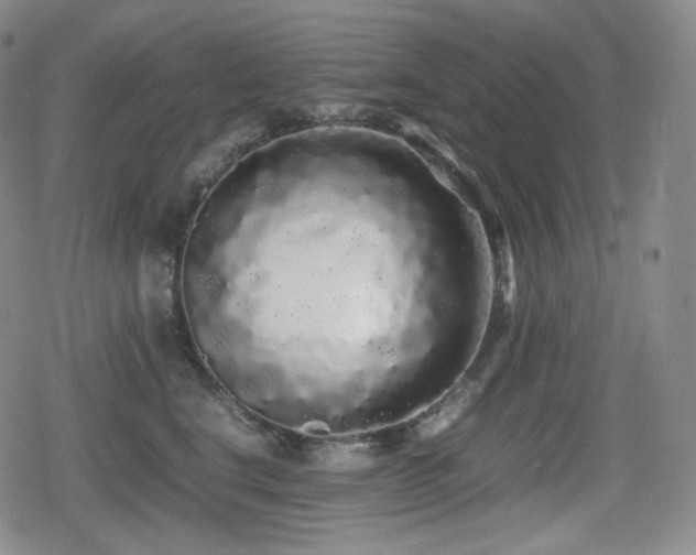 X0000080160664200612081337