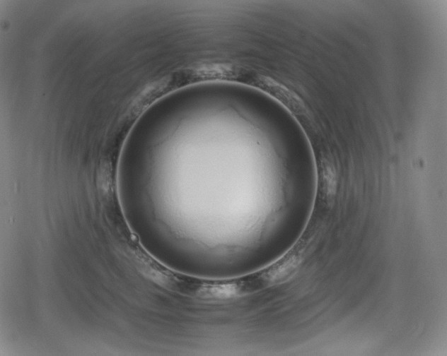 X0000080160665200612081337