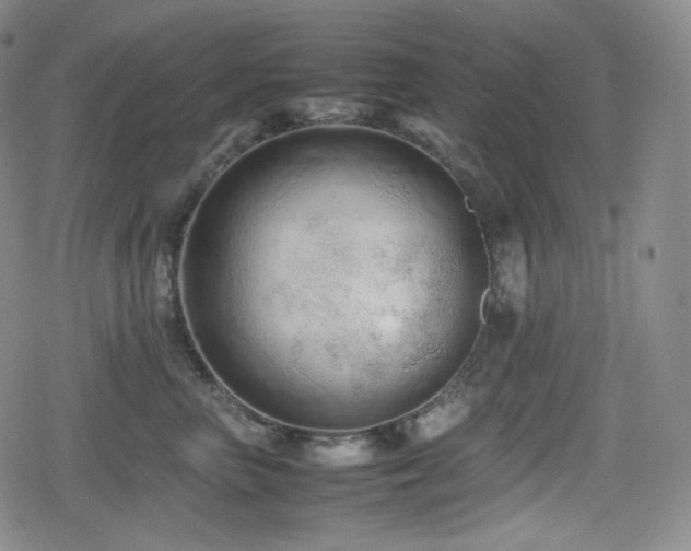 X0000080160667200612081337