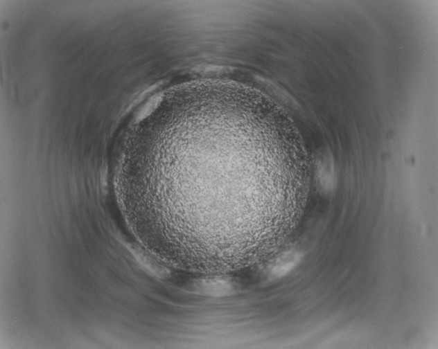 X0000080160668200612081337