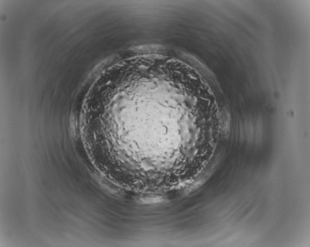 X0000080160669200612081337