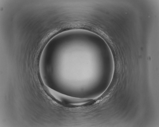 X0000080160673200612081336