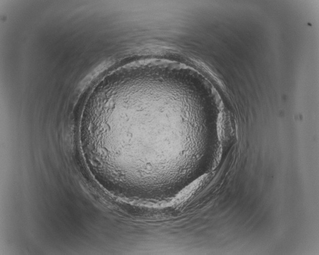 X0000080160675200612081336