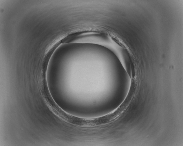 X0000080160677200612081336
