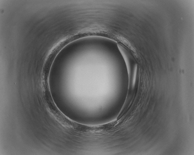 X0000080160680200612081336
