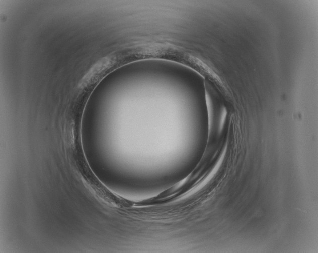 X0000080160685200612081336