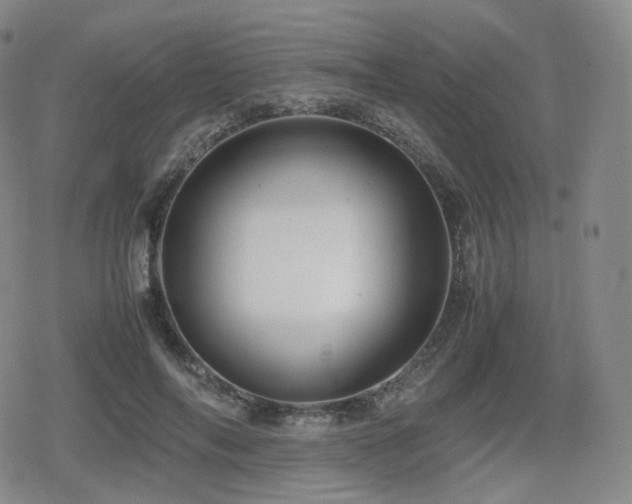 X0000080160694200612081336