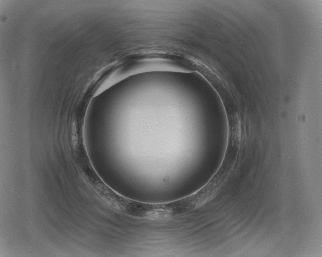 X0000080160700200612081335