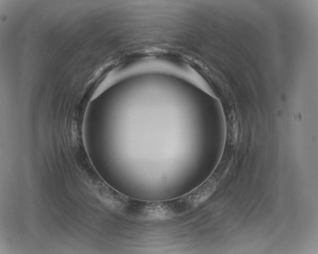 X0000080160704200612081335