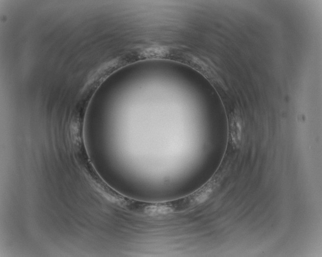 X0000080160714200612081335