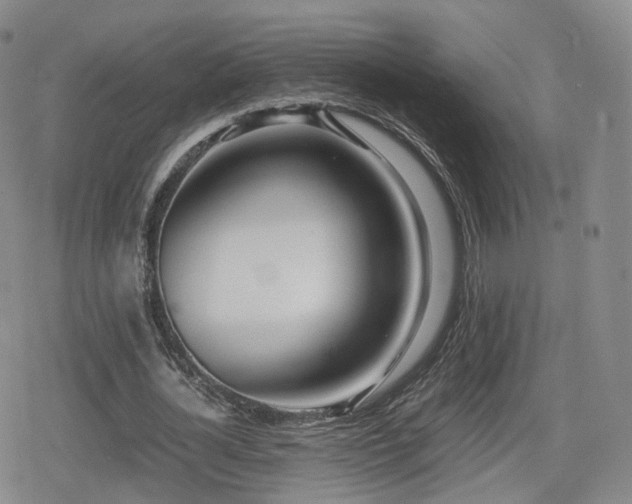 X0000080160724200612081334