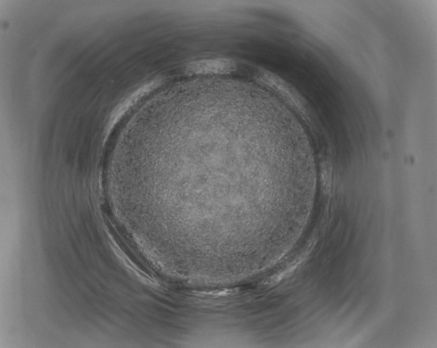 X0000080160725200612081334
