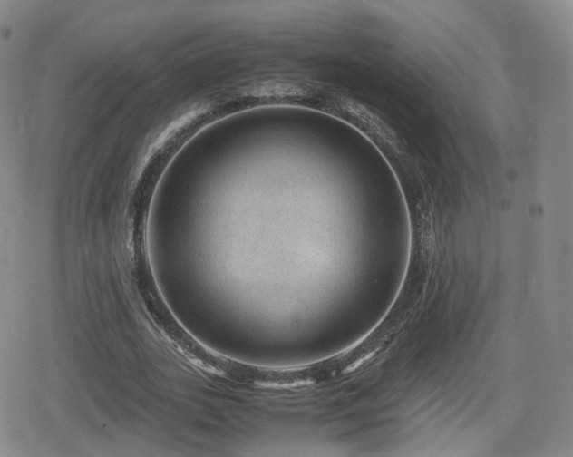 X0000080160727200612081334